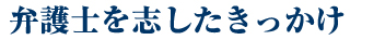 弁護士を志したきっかけ